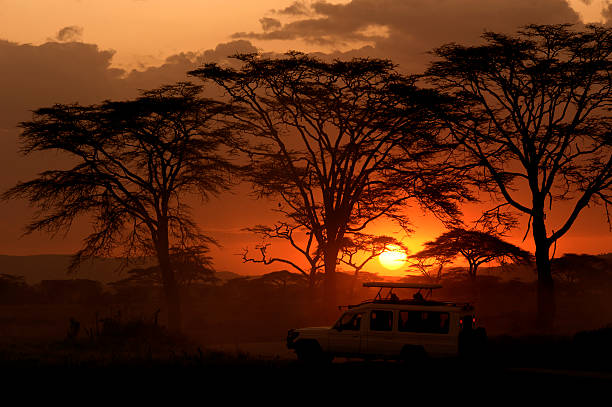 VIAJE SUDAFRICA ESENCIAL Y CATARATAS VICTORIA (ZIMBABWE) DESDE PUEBLA