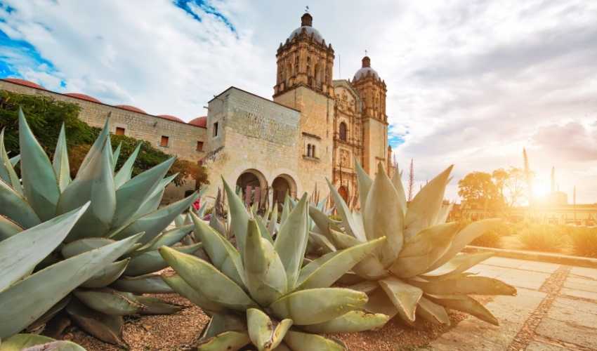 VIAJE PUEBLA Y OAXACA DESDE PUEBLA