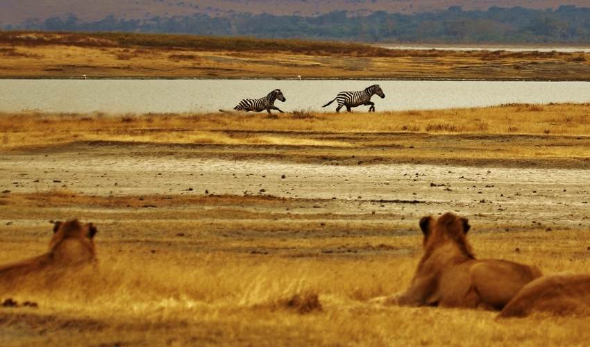 Viaje aventura en tanzania con zanzibar (en 4x4)  desde Puebla